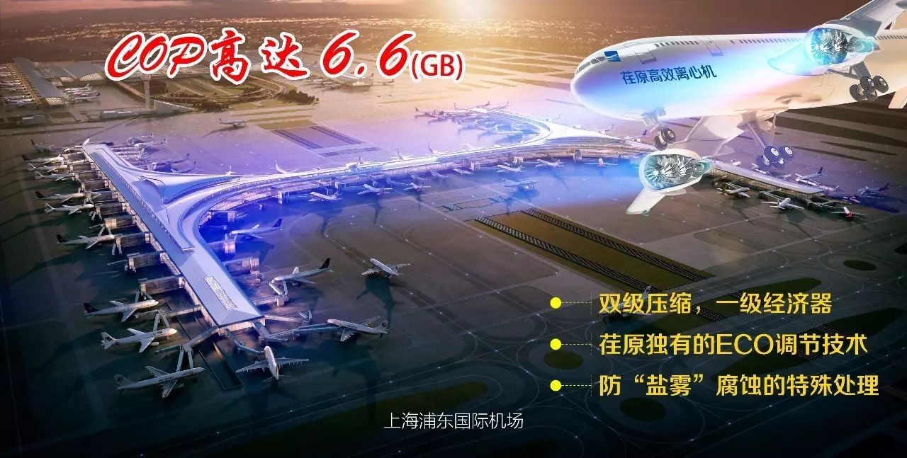 上海浦東國際機(jī)場(chǎng)三期項(xiàng)目花落荏原